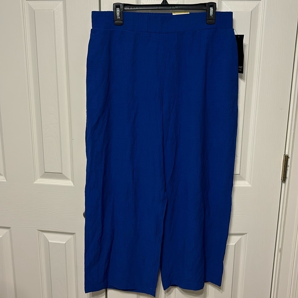 Alfani Plus Wrinkle Resistant Pull On Pant